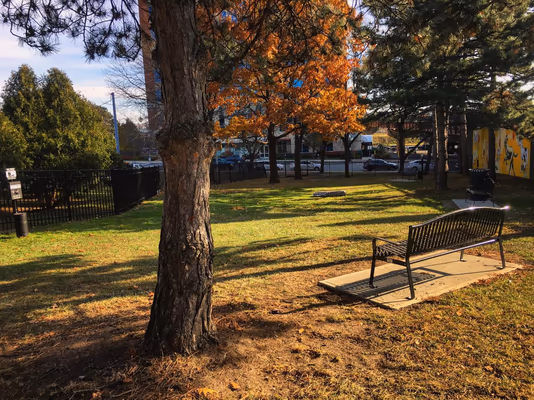 Olde English Downtown Dog Park